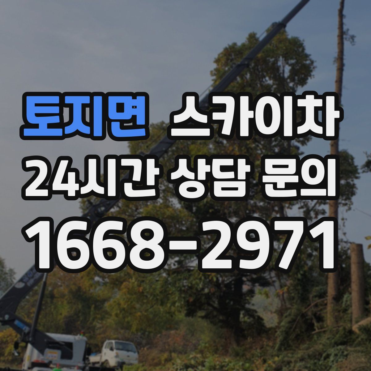 토지면 스카이차