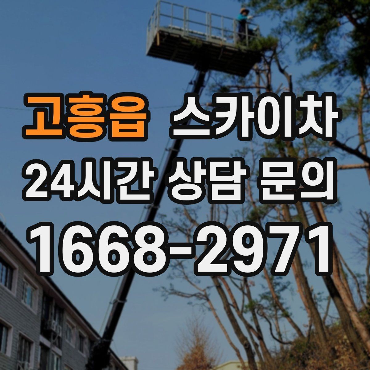 고흥읍 스카이차 비포장 현장 작업 가능 조건 정리