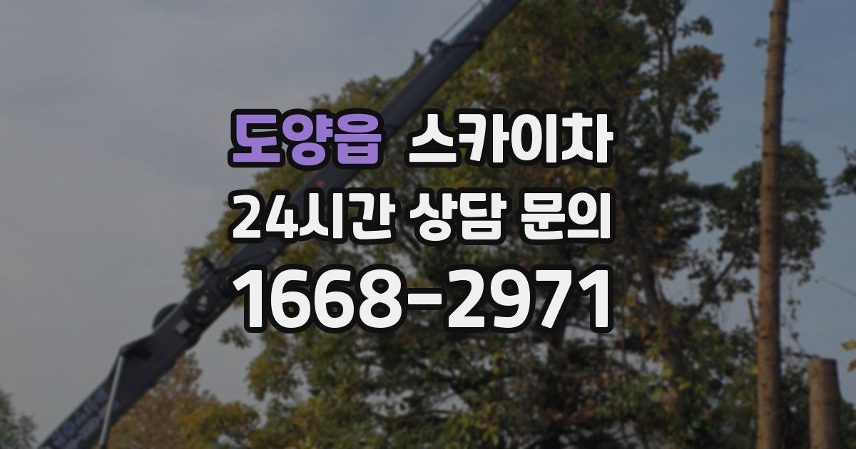 도양읍 스카이차