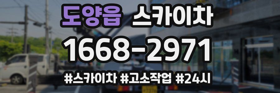 도양읍 스카이차