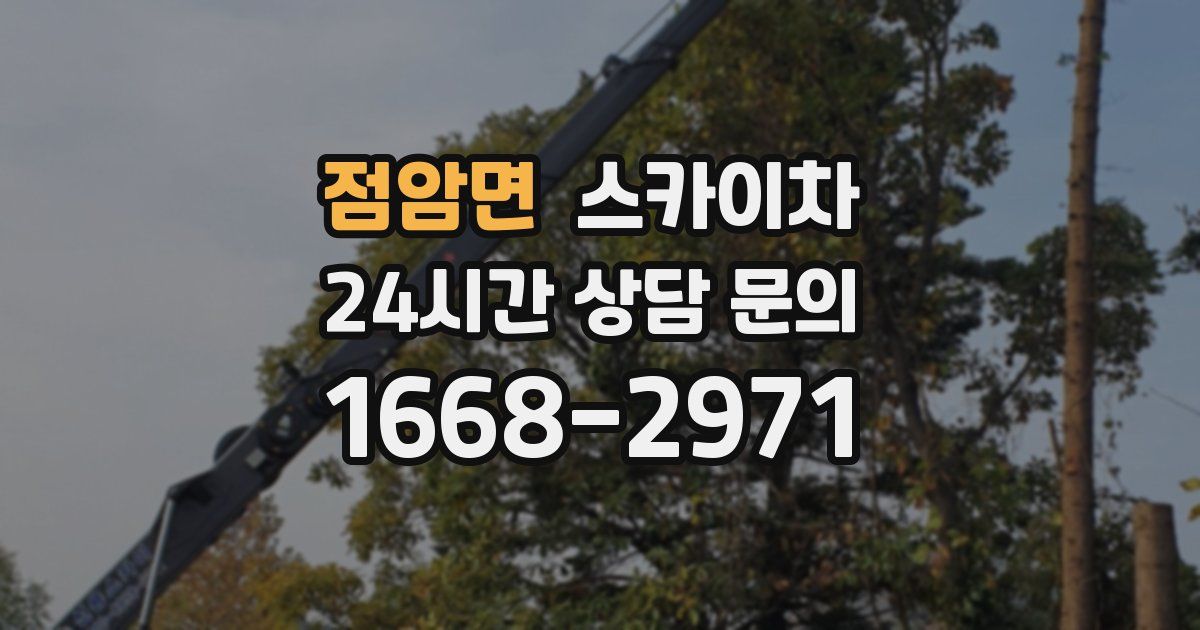 점암면 스카이차
