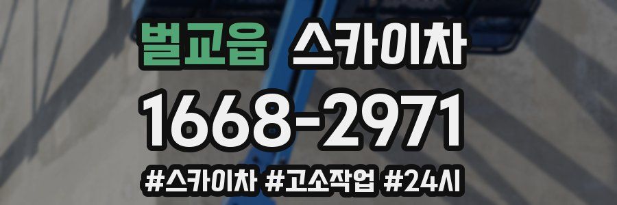 벌교읍 스카이차