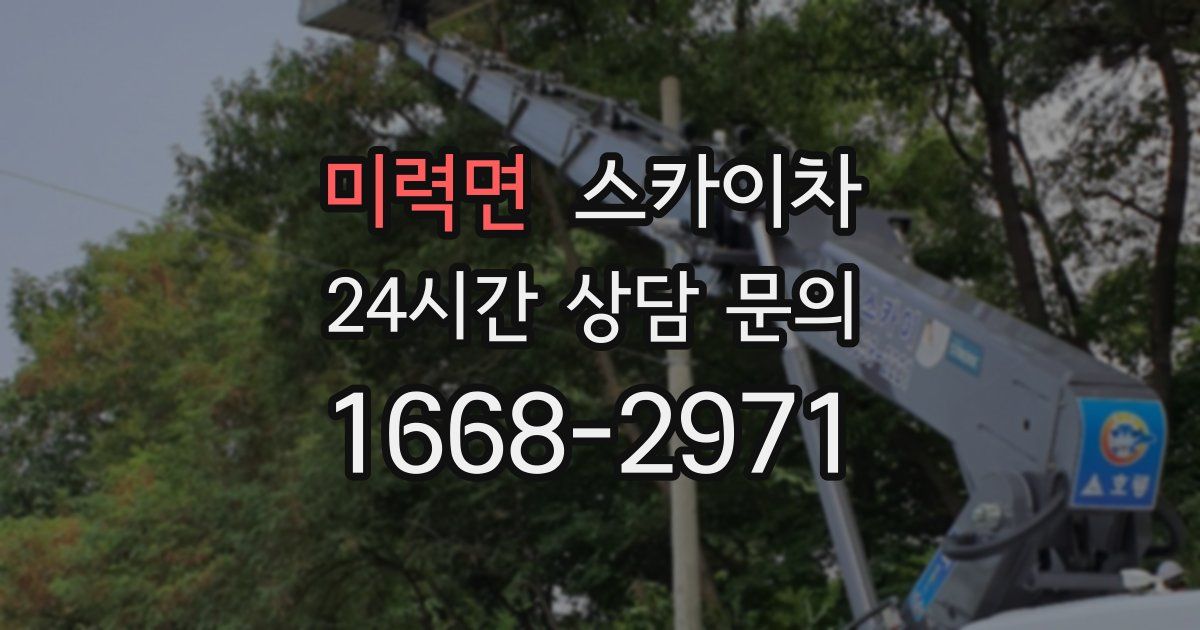 미력면 스카이차