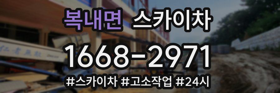 복내면 스카이차