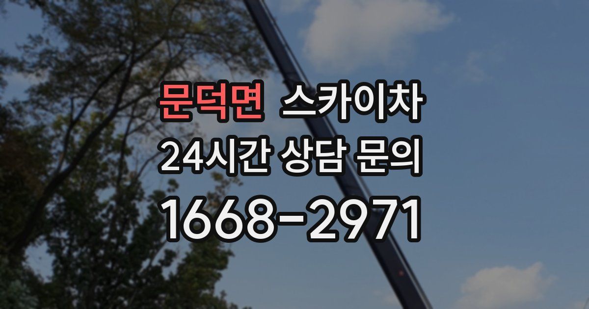 문덕면 스카이차