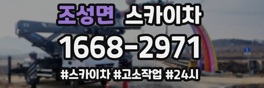 조성면 스카이차