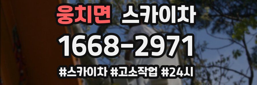 웅치면 스카이차