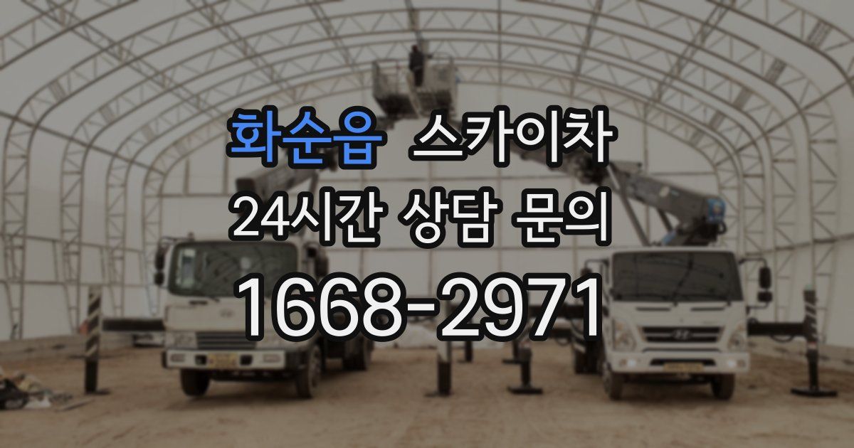 화순읍 스카이차