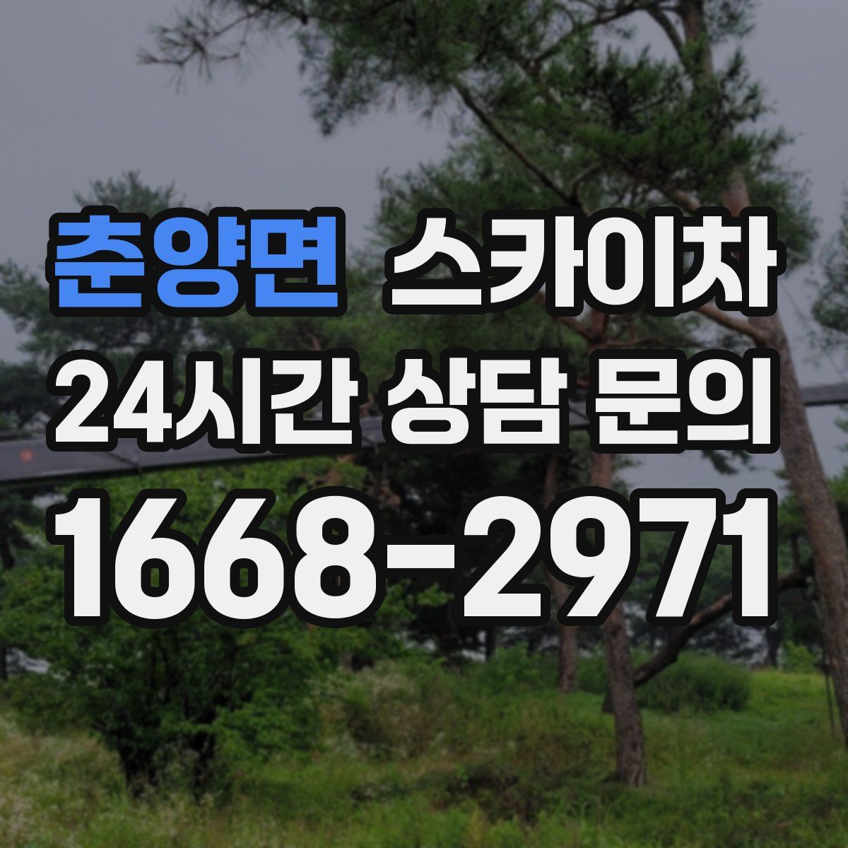 춘양면 스카이차