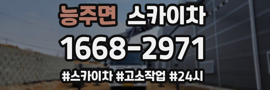 능주면 스카이차