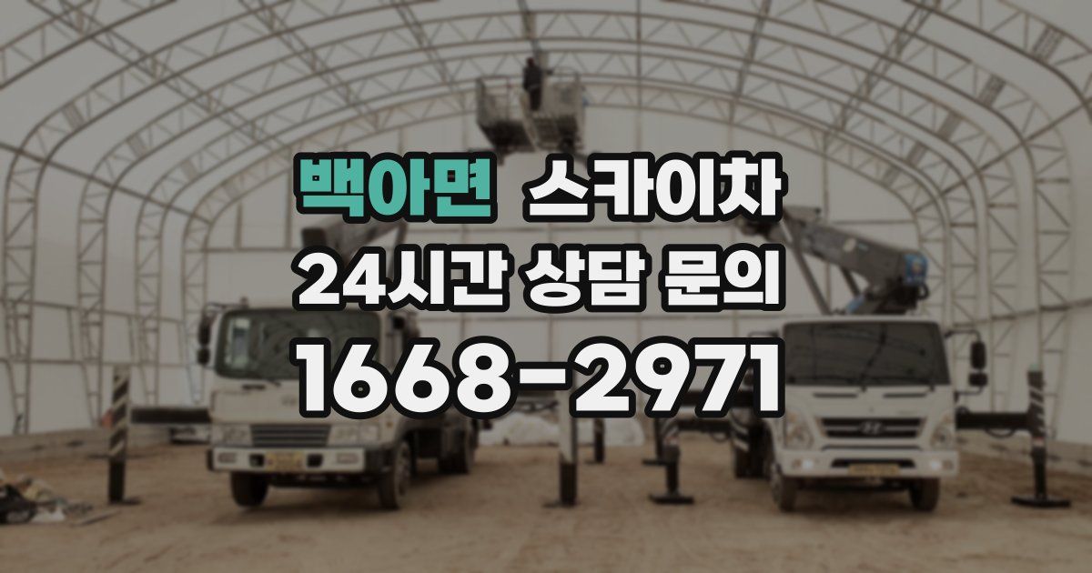 백아면 스카이차