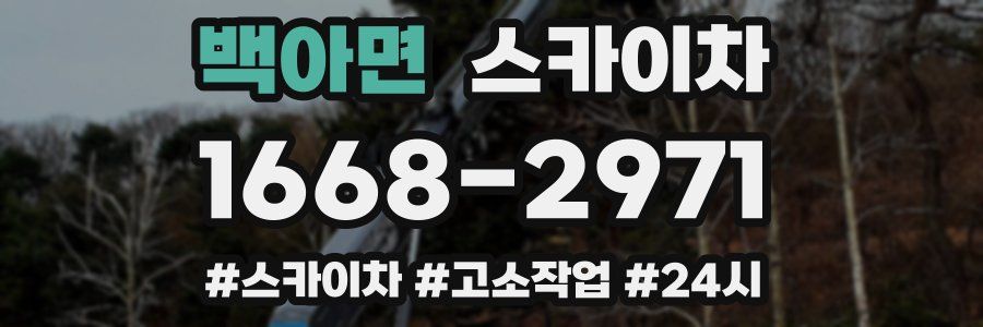 백아면 스카이차