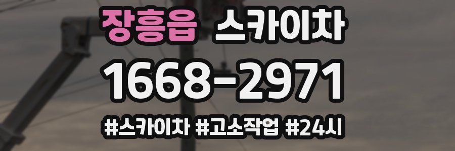 장흥읍 스카이차