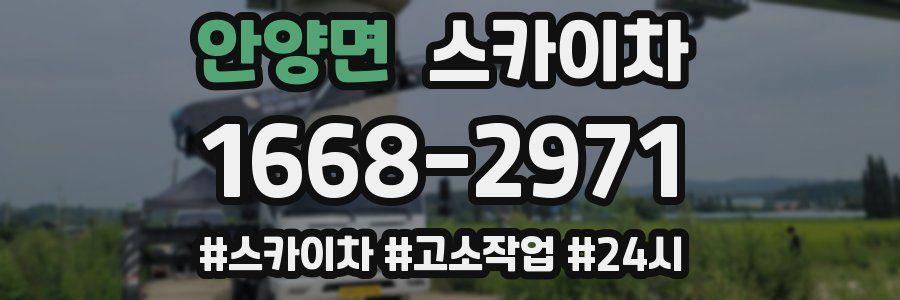 안양면 스카이차