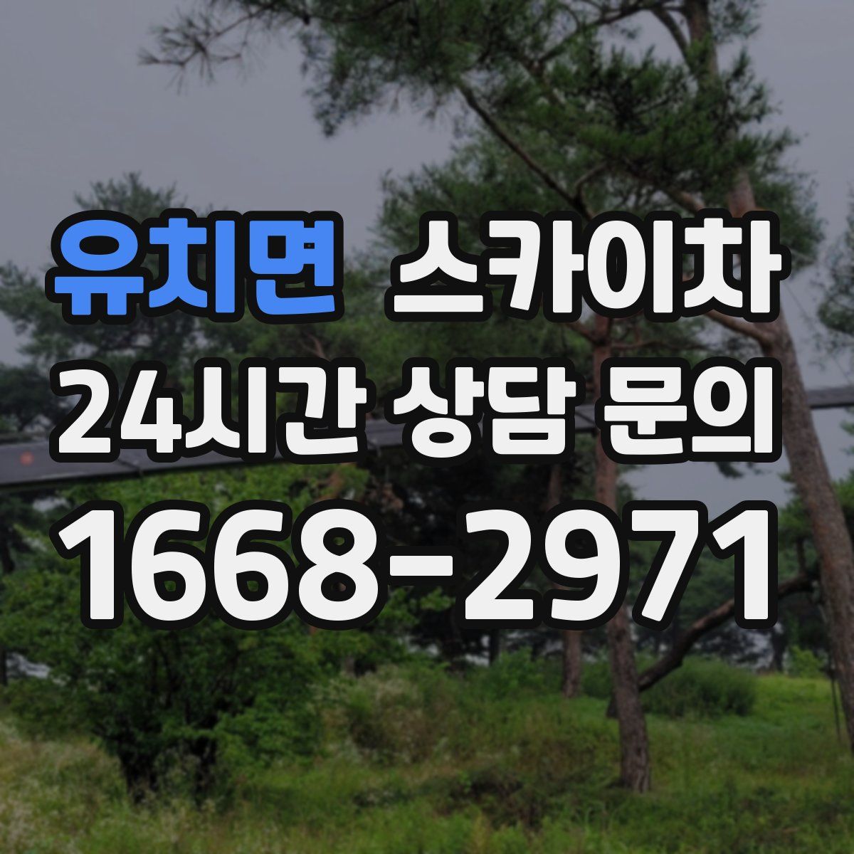 유치면 스카이차