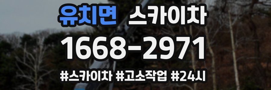 유치면 스카이차