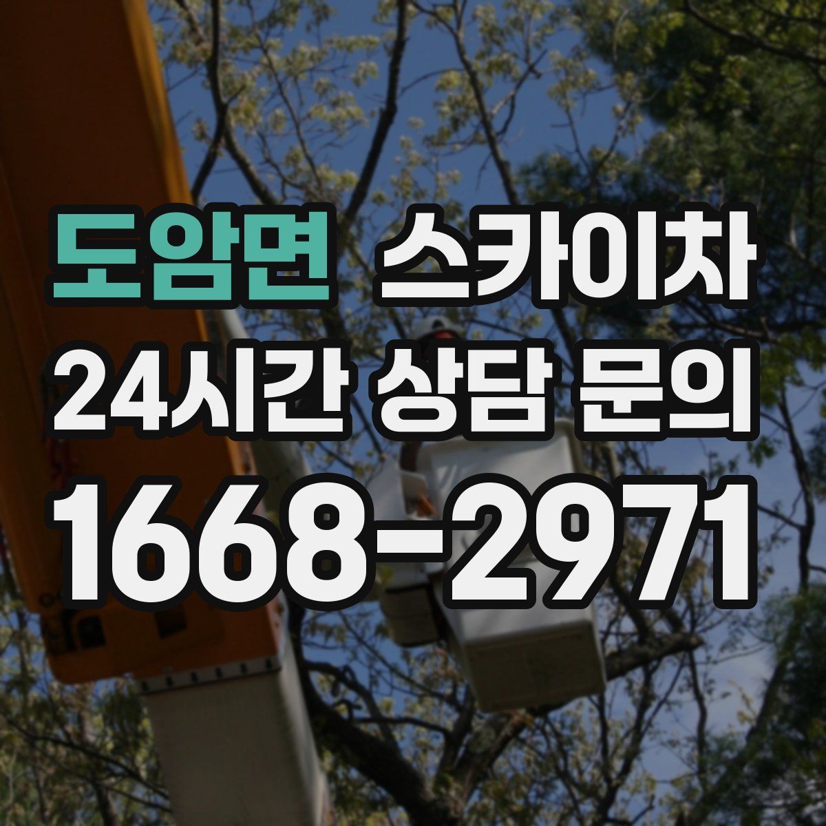 도암면 스카이차