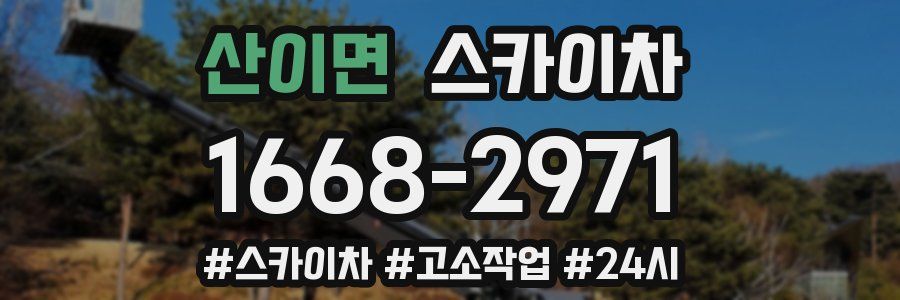 산이면 스카이차