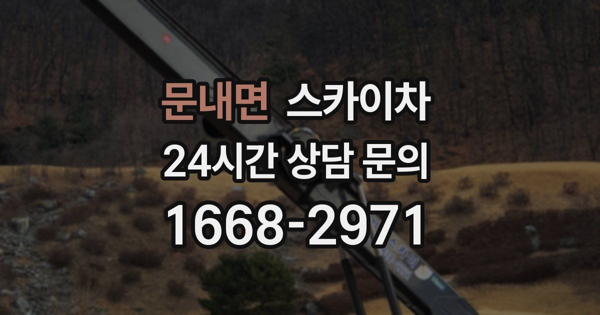 문내면 스카이차