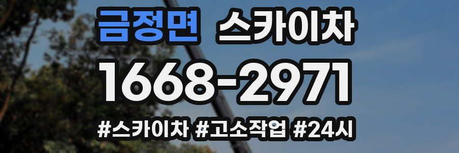 금정면 스카이차