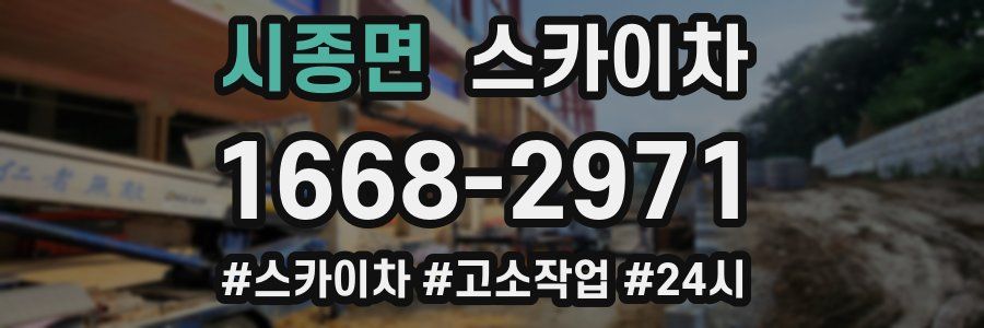 시종면 스카이차