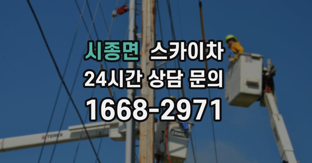 시종면 스카이차