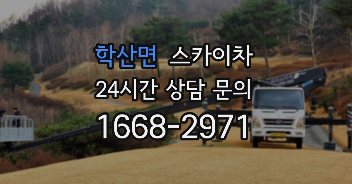 학산면 스카이차