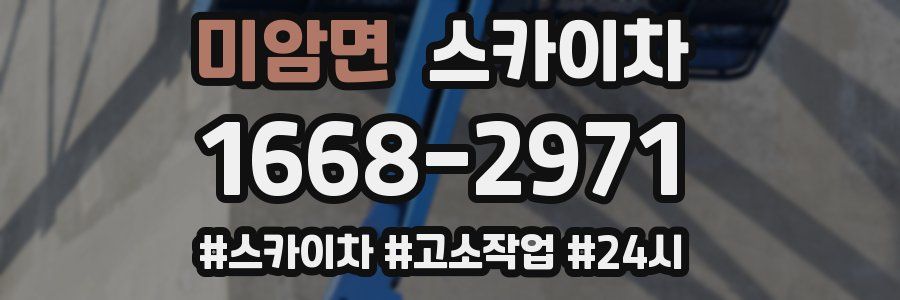 미암면 스카이차