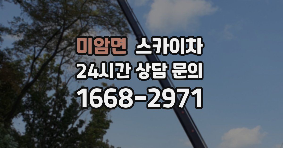 미암면 스카이차