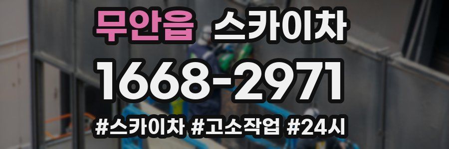 무안읍 스카이차