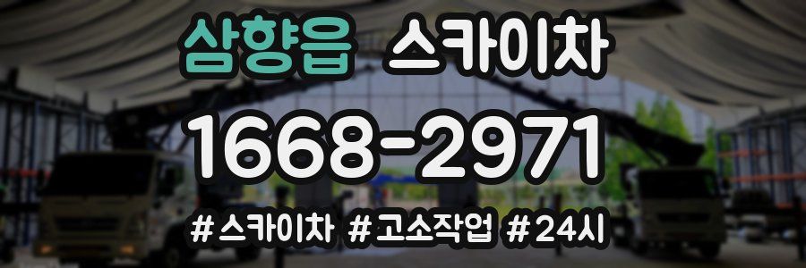 삼향읍 스카이차