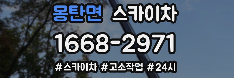 몽탄면 스카이차