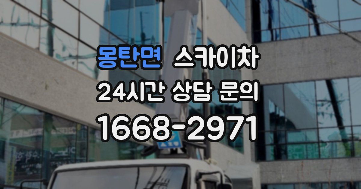 몽탄면 스카이차