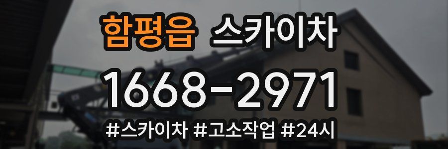 함평읍 스카이차