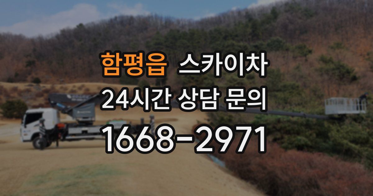 함평읍 스카이차