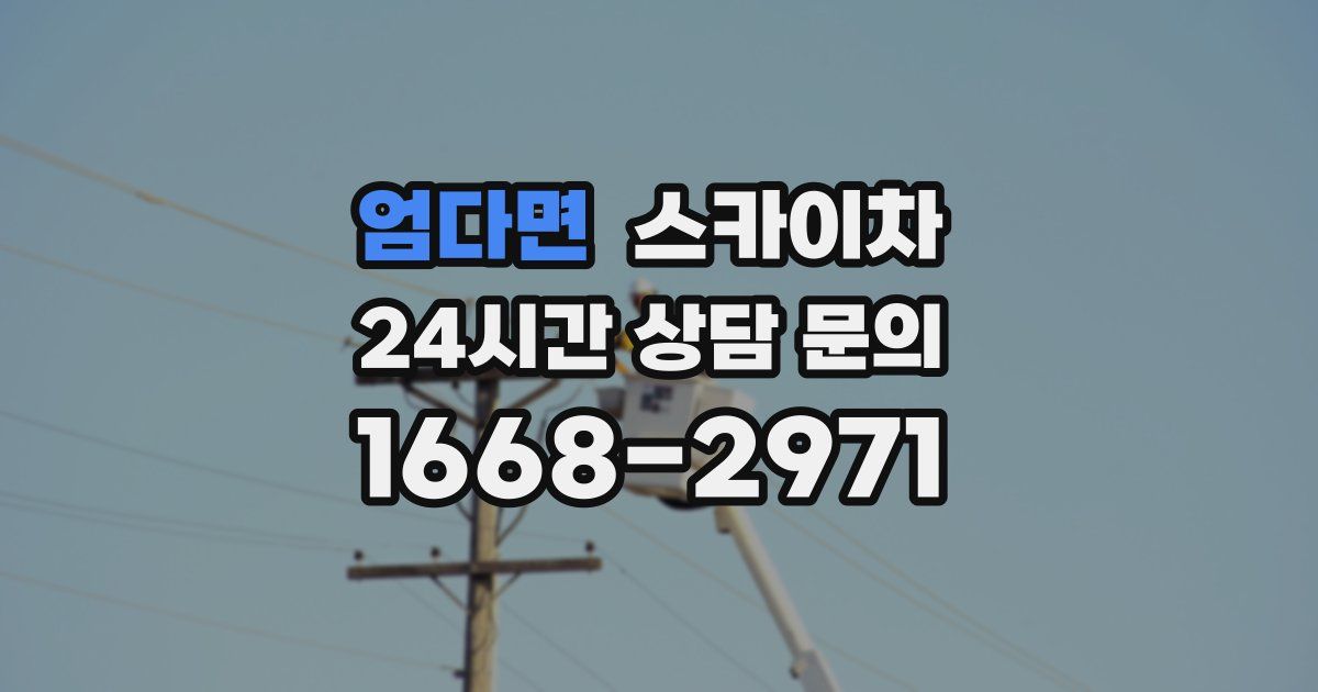 엄다면 스카이차