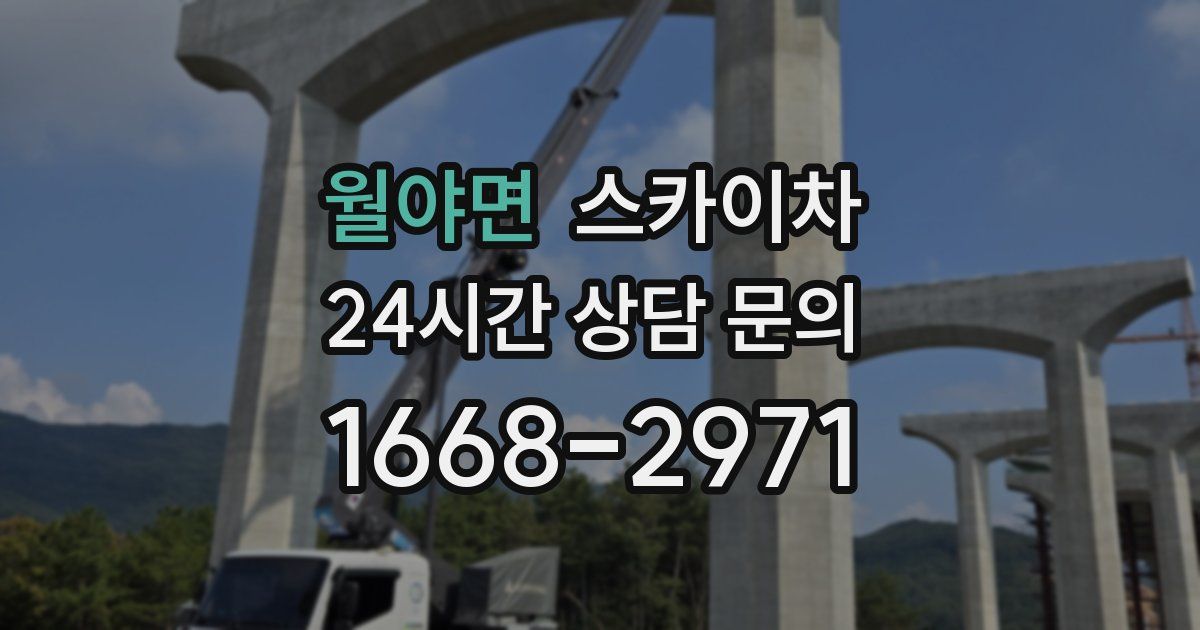 월야면 스카이차