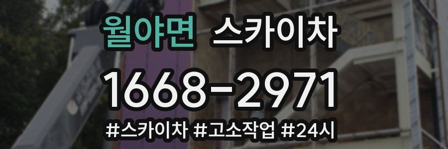 월야면 스카이차