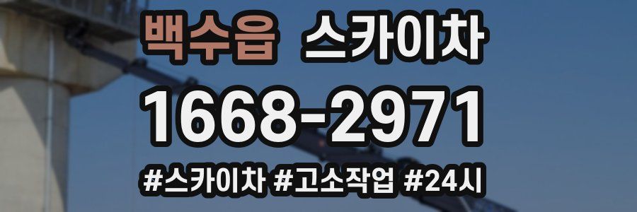 백수읍 스카이차