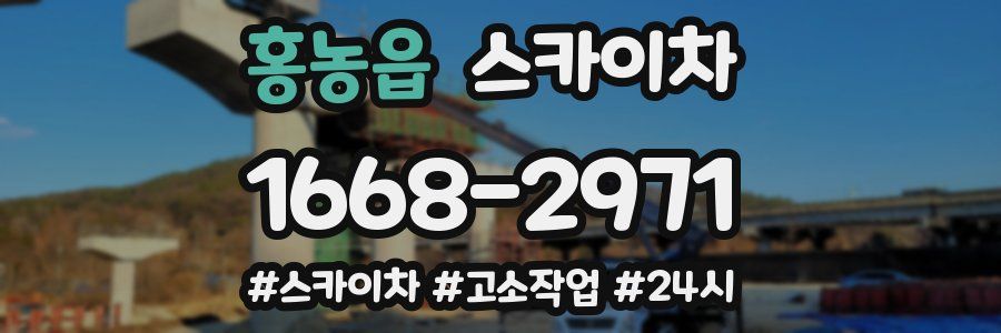 홍농읍 스카이차