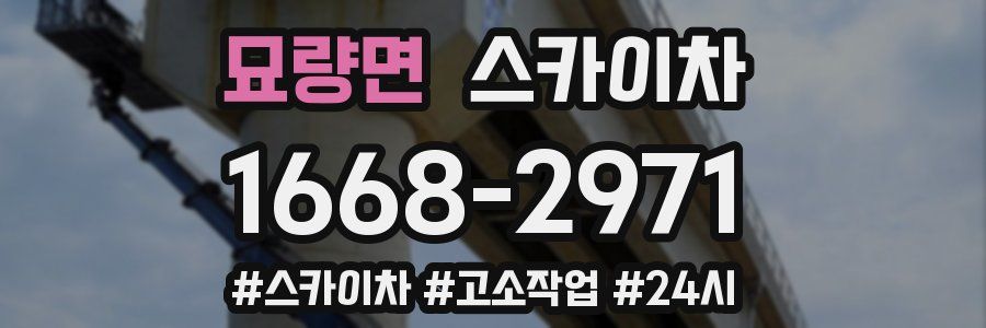 묘량면 스카이차