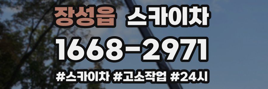 장성읍 스카이차
