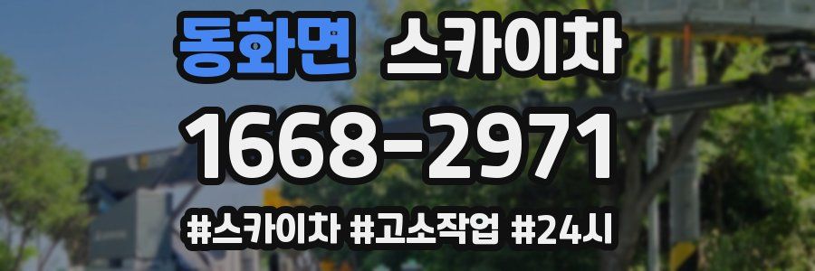 동화면 스카이차