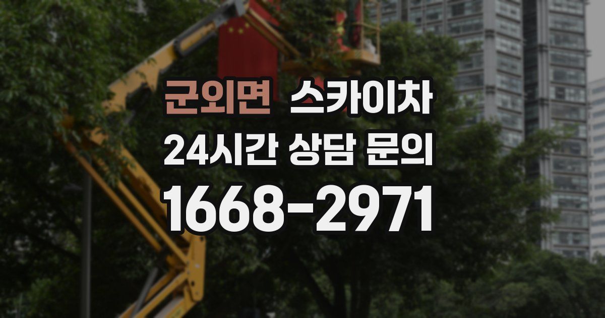 군외면 스카이차