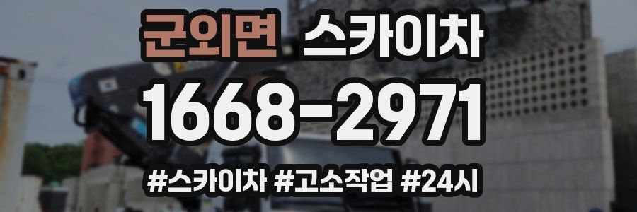 군외면 스카이차