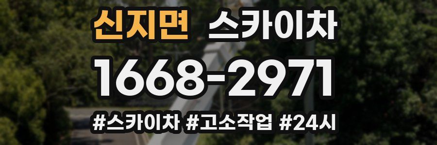 신지면 스카이차