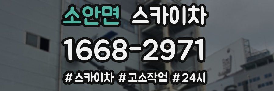 소안면 스카이차