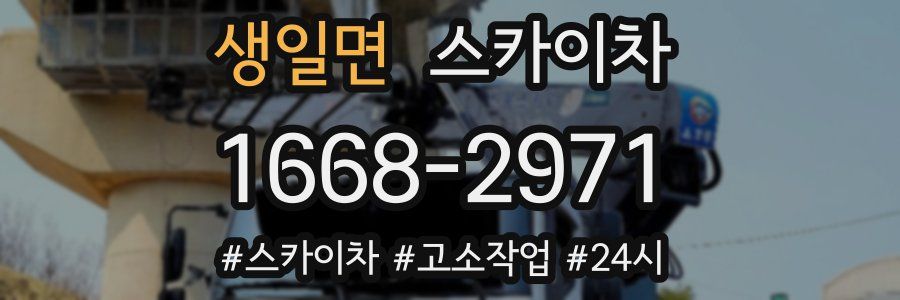 생일면 스카이차