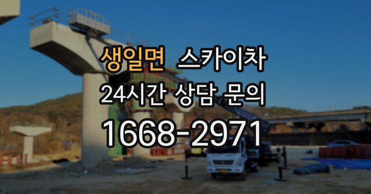 생일면 스카이차