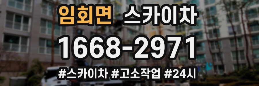 임회면 스카이차